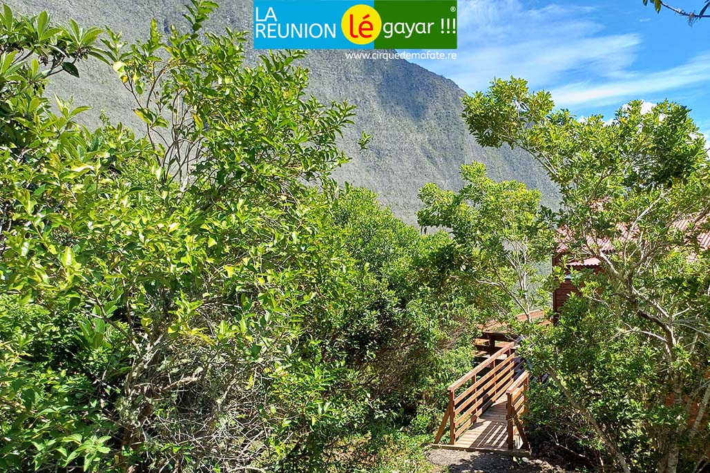 Photo Gîte Le Domaine de Mafate à Roche Plate – Cirque de Mafate