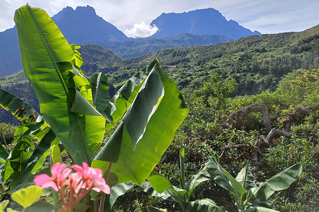 Photo Gîte Chez Judex THOMAS à Roche Plate – Cirque de Mafate