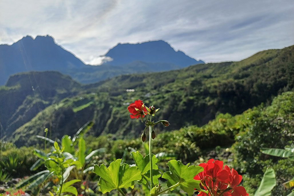 Photo Gîte Chez Judex THOMAS à Roche Plate – Cirque de Mafate