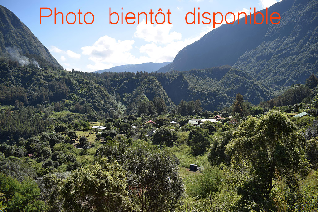 Photo Gîte et camping Les Filaos à Îlet à Malheur – Cirque de Mafate