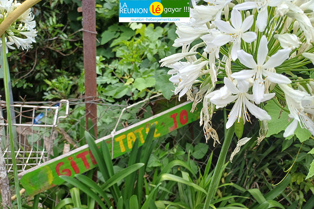 Gîte Chez Tatie Jo à Aurère dans le Cirque de Mafate