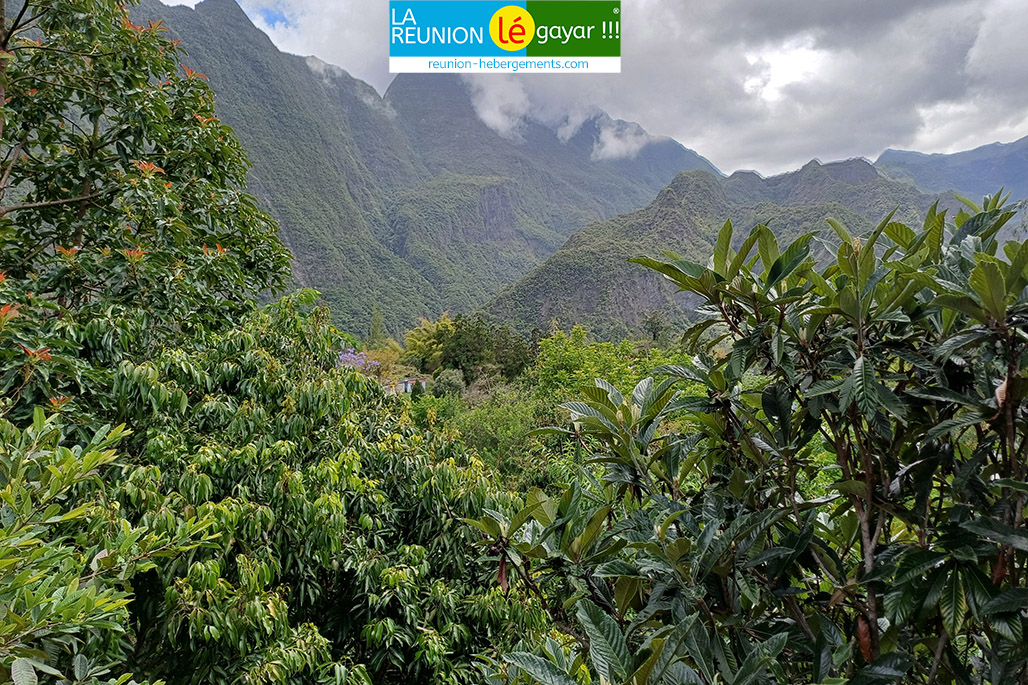 Photo Gîte Chez Tatie Jo à Aurère – Cirque de Mafate