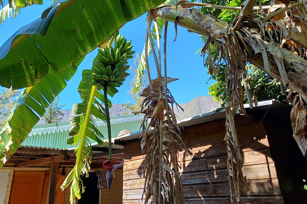 Photo Gîte chez Marcel Bilin à Grand Place les hauts – Cirque de Mafate