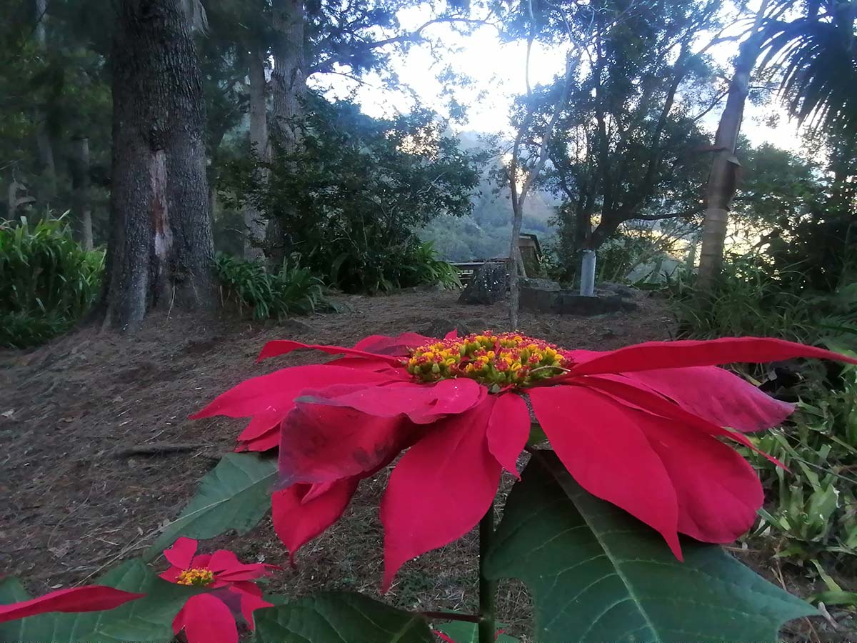 Photo Aurère - Cirque de Mafate