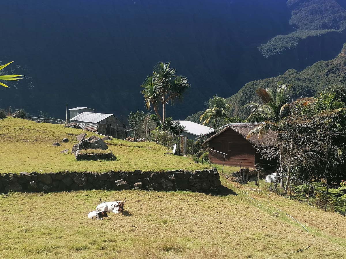 Photo Aurère - Cirque de Mafate