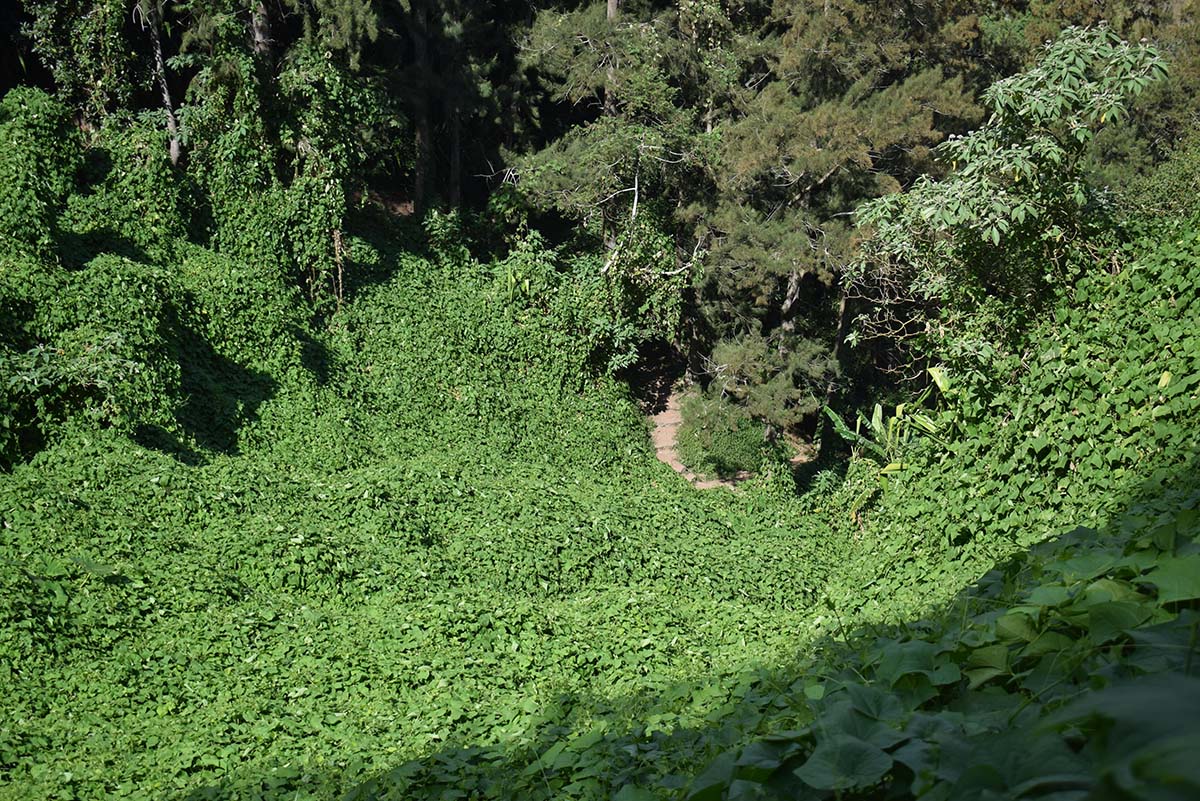 Photo Aurère - Cirque de Mafate
