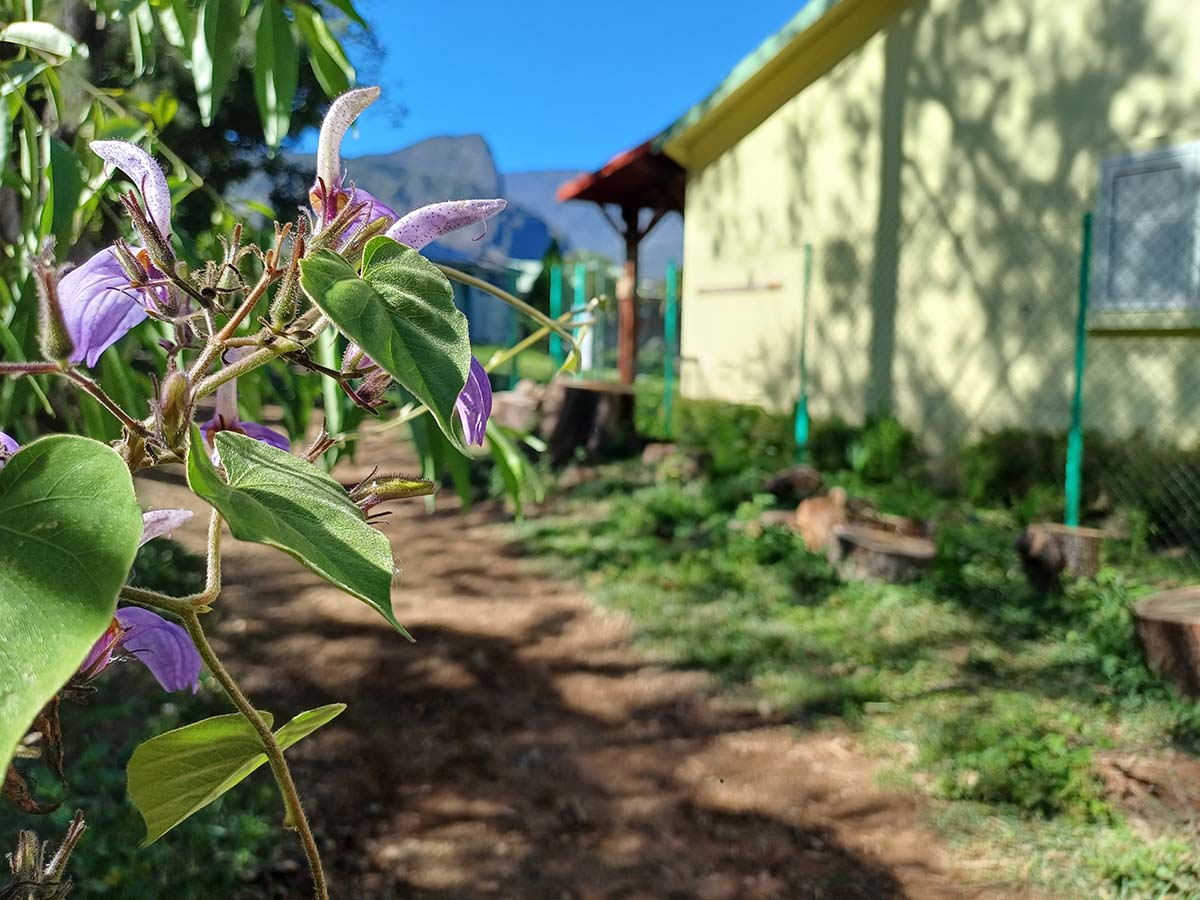 Photo Îlet à Malheur - Cirque de Mafate