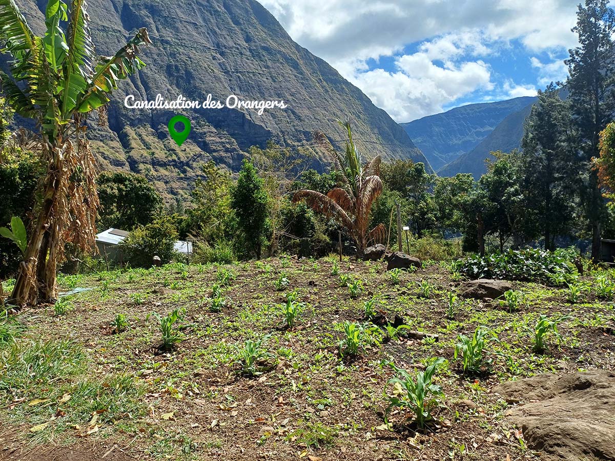 Photo Îlet des Lataniers - Cirque de Mafate