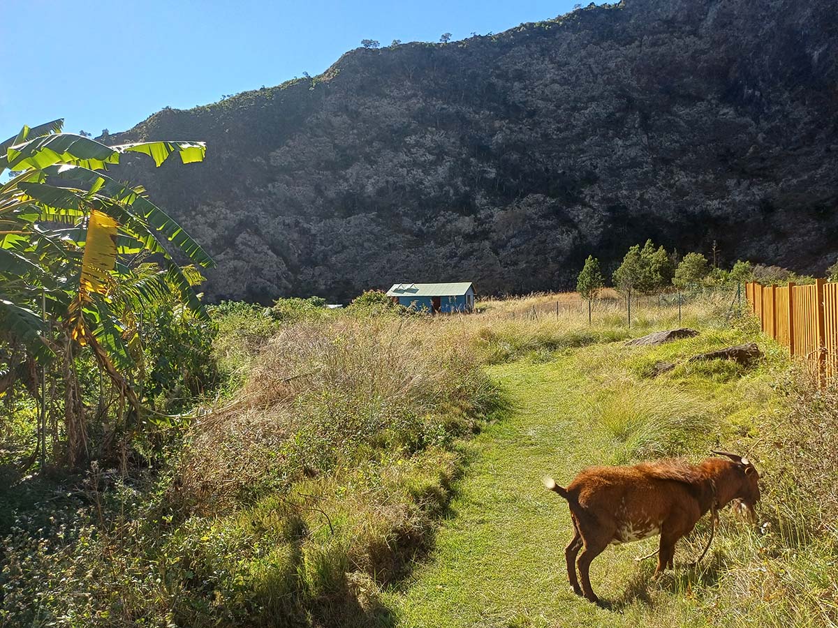 Photo Îlet des Orangers - Cirque de Mafate