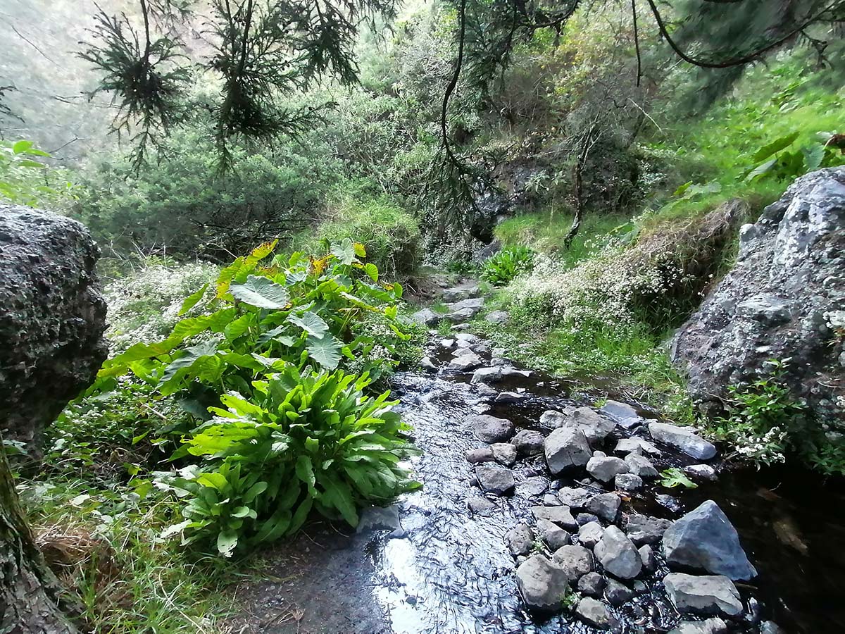 Photo Marla - Cirque de Mafate