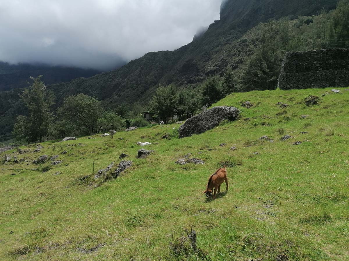 Photo Marla - Cirque de Mafate