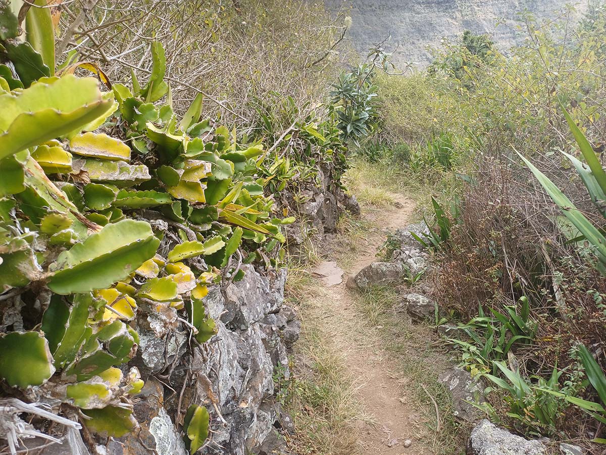 Photo Roche Plate - Cirque de Mafate