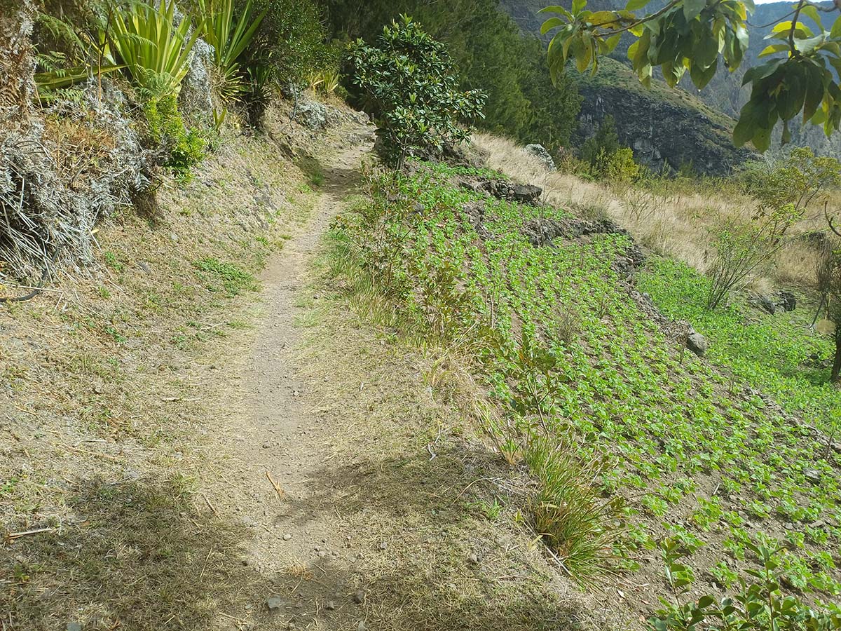 Photo Roche Plate - Cirque de Mafate