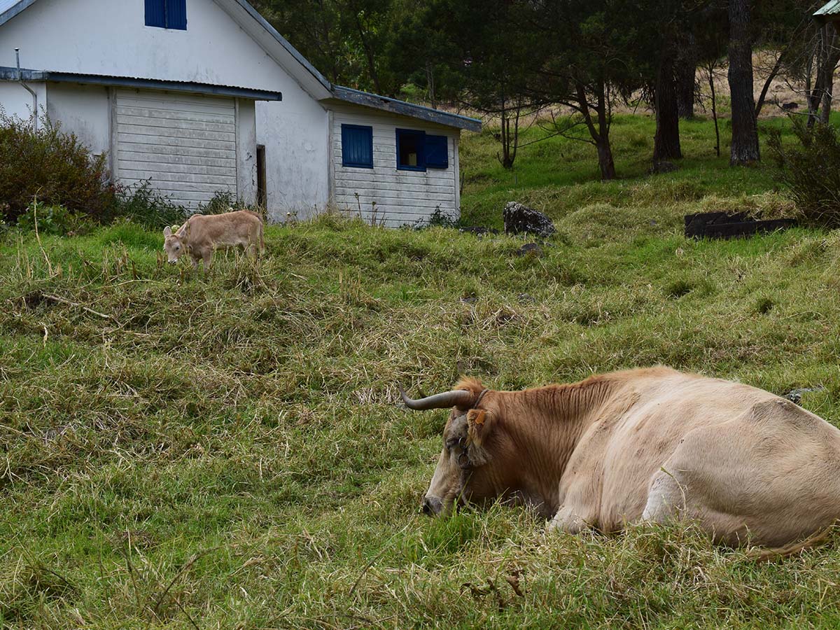 Photo La Nouvelle - Cirque de Mafate