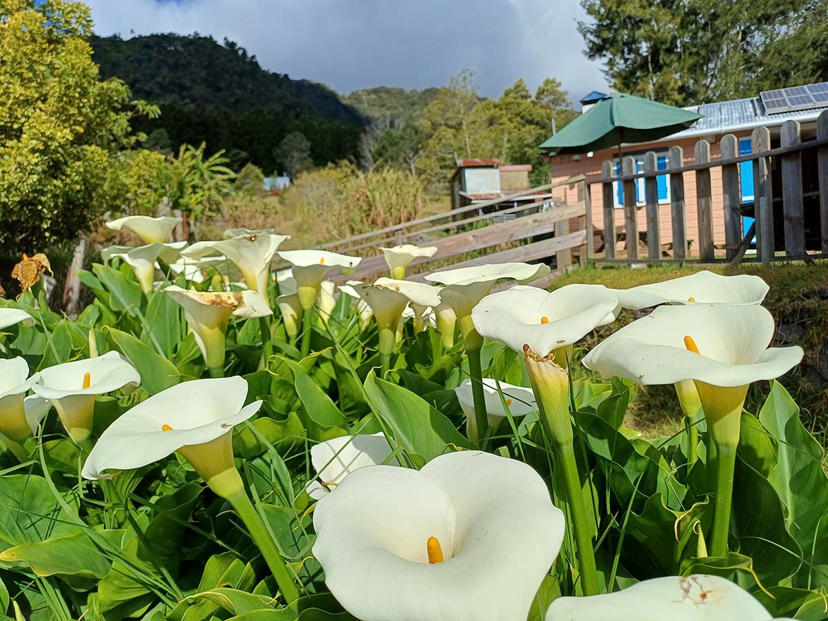 Photo La Nouvelle - Cirque de Mafate