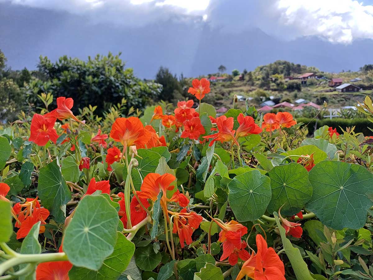 Photo La Nouvelle - Cirque de Mafate