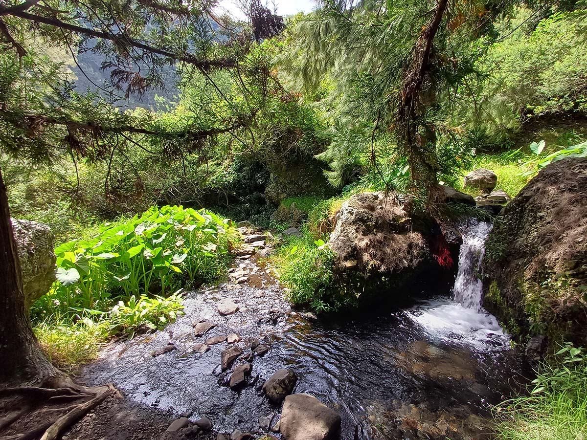 Photo Randonnée Col des Boeufs vers Marla Mafate