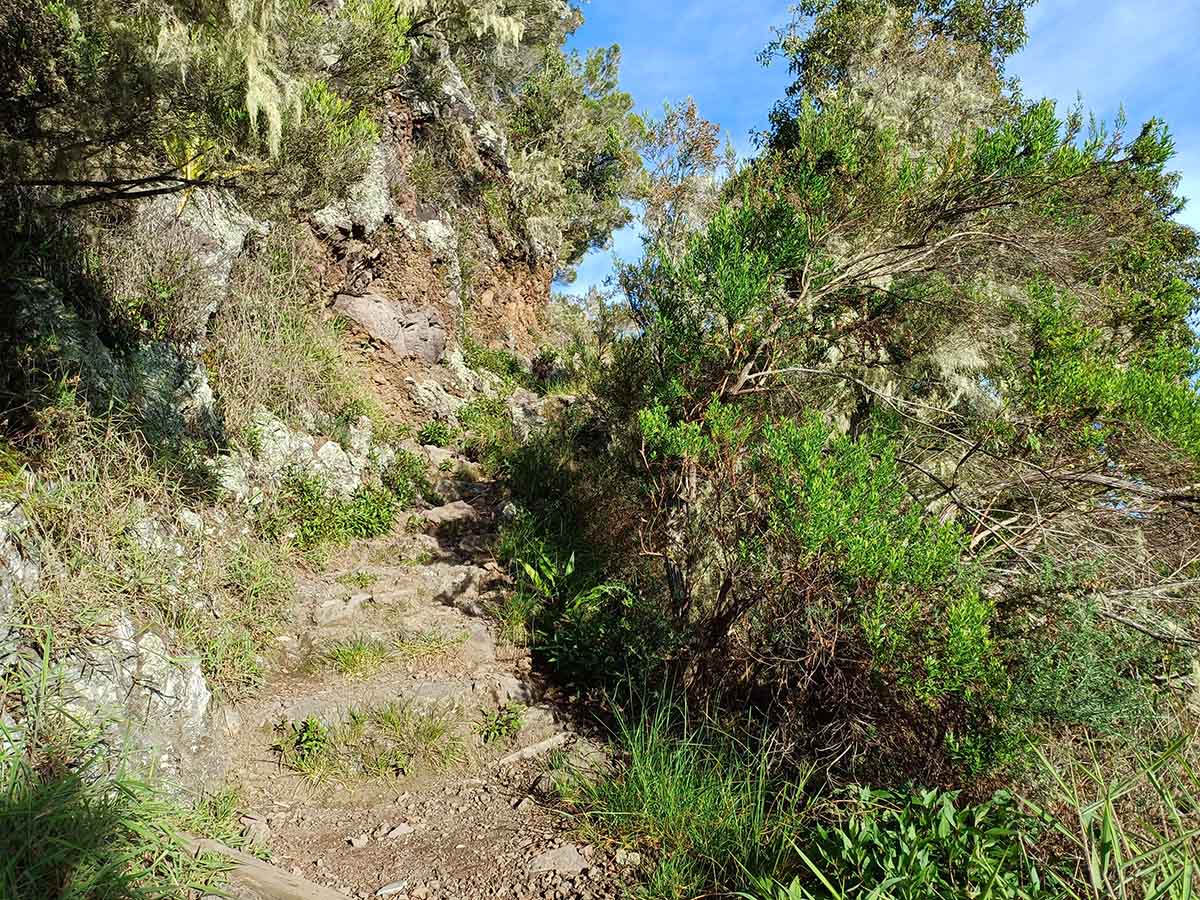 Photo Randonnée Du Maïdo à Roche Plate Ecole Mafate