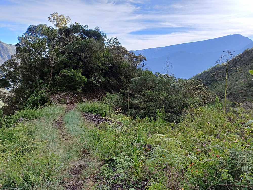 Photo Randonnée Du Maïdo à Roche Plate Ecole Mafate