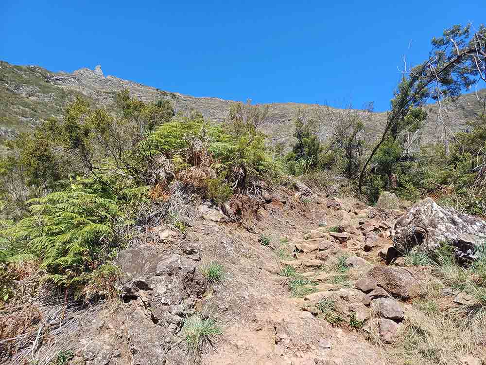Photo Randonnée Du Maïdo à Roche Plate Ecole Mafate