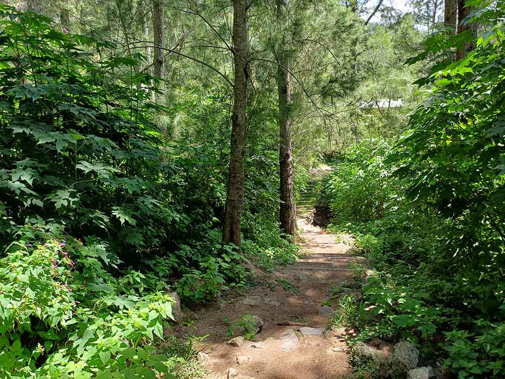 Photo Randonnée Du Maïdo à Roche Plate Ecole Mafate